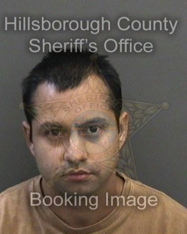 DAVID MIGUEL INIGA  Info, Photos, Data, and More About DAVID MIGUEL INIGA  / DAVID MIGUEL INIGA  Tampa Area