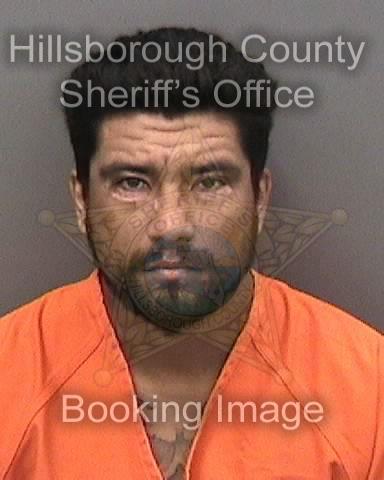 MICHAEL ANGELO LONGORIA  Pics