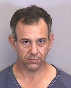 Carrie Ottinger Pics