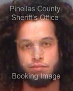 Shane Laracuente Info, Photos, Data, and More About Shane Laracuente / Shane Laracuente Tampa Area