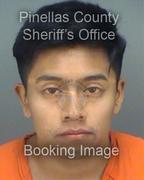 Alan Hernandez Pics Alan Hernandez Pics