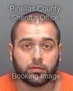 Anthony Sammarco Pics Anthony Sammarco Pics