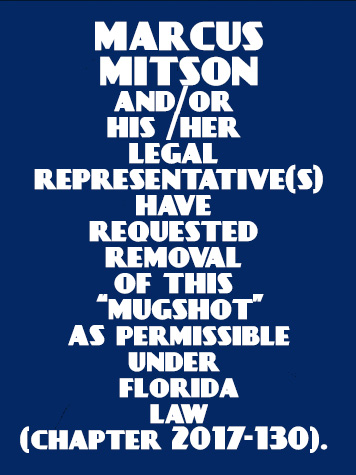Marcus Mitson Info, Photos, Data, and More About Marcus Mitson / Marcus Mitson Tampa Area