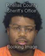 Rayquan Rainey Info, Photos, Data, and More About Rayquan Rainey / Rayquan Rainey Tampa Area