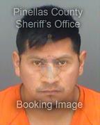 Marco Pichevalle Pics