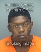 Quantiz Flowers Pics