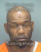 Michael Powell Info, Photos, Data, and More About Michael Powell / Michael Powell Tampa Area