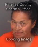 Sandra Villanueva Info, Photos, Data, and More About Sandra Villanueva / Sandra Villanueva Tampa Area