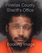 Timothy Salzano Info, Photos, Data, and More About Timothy Salzano / Timothy Salzano Florida Timothy Salzano Info, Photos, Data, and More About Timothy Salzano / Timothy Salzano Tampa Area