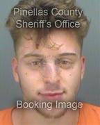 Brandon Wagner Info, Photos, Data, and More About Brandon Wagner / Brandon Wagner Tampa Area