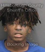 Gregory Young Info, Photos, Data, and More About Gregory Young / Gregory Young Florida Gregory Young Info, Photos, Data, and More About Gregory Young / Gregory Young Tampa Area