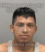 Reily Ortiz-Sanchez Pics