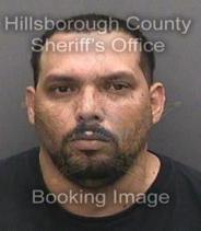 Wilfredo Lopez Info, Photos, Data, and More About Wilfredo Lopez / Wilfredo Lopez Tampa Area