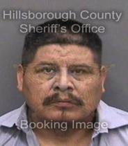 Javier Hernandez Info, Photos, Data, and More About Javier Hernandez / Javier Hernandez Tampa Area
