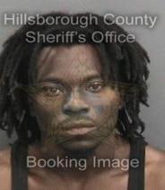 Damion Dehaney Info, Photos, Data, and More About Damion Dehaney / Damion Dehaney Tampa Area