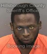 Terry Guillaume Pics