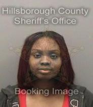 Ashley Polk Info, Photos, Data, and More About Ashley Polk / Ashley Polk Tampa Area
