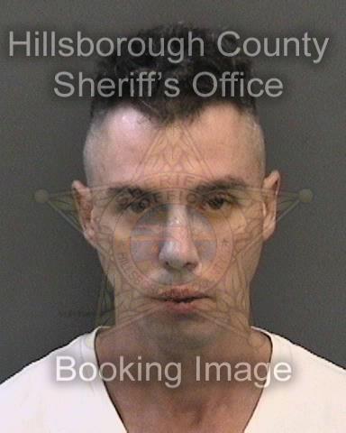 ANDERSON ANDREW MELILLI  Pics