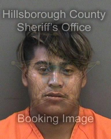 AUDELINO ELVER BARTOLON GOMEZ  Pics