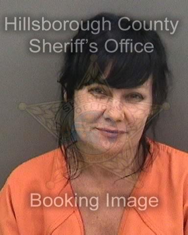CYNTHIA LYNN ANIEL Info, Photos, Data, and More About CYNTHIA LYNN ANIEL / CYNTHIA LYNN ANIEL Florida CYNTHIA LYNN ANIEL Info, Photos, Data, and More About CYNTHIA LYNN ANIEL / CYNTHIA LYNN ANIEL Tampa Area