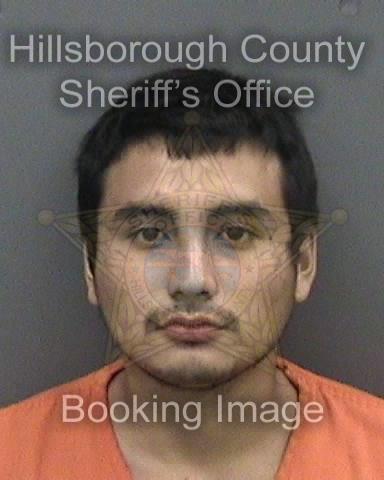 DAMIAN SEBASTIAN BARILLAS  Info, Photos, Data, and More About DAMIAN SEBASTIAN BARILLAS  / DAMIAN SEBASTIAN BARILLAS  Tampa Area