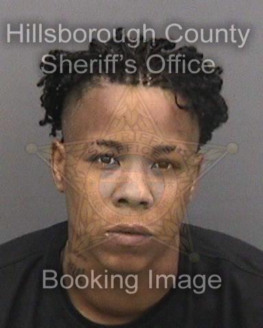 DANIELLE CAPRI ALEXANDER  Info, Photos, Data, and More About DANIELLE CAPRI ALEXANDER  / DANIELLE CAPRI ALEXANDER  Tampa Area