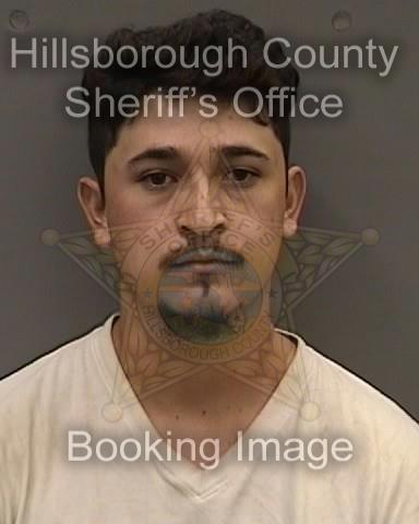 DANIEL MICHAEL RICO Info, Photos, Data, and More About DANIEL MICHAEL RICO / DANIEL MICHAEL RICO Florida DANIEL MICHAEL RICO Info, Photos, Data, and More About DANIEL MICHAEL RICO / DANIEL MICHAEL RICO Tampa Area