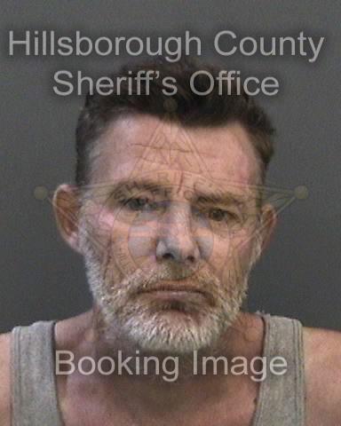 DANIEL O'CALLAGHAN  Info, Photos, Data, and More About DANIEL O'CALLAGHAN  / DANIEL O'CALLAGHAN  Tampa Area