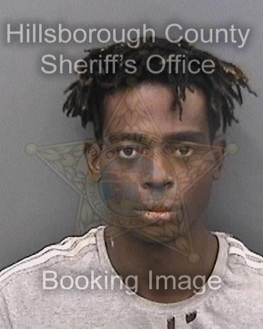 DEANDRE MALIK HARRIS  Info, Photos, Data, and More About DEANDRE MALIK HARRIS  / DEANDRE MALIK HARRIS  Tampa Area