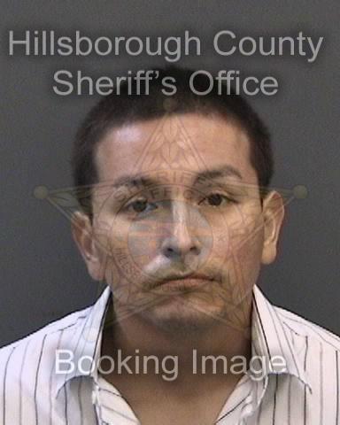 EDER TONINHO RODRIGUEZ FLORES  Info, Photos, Data, and More About EDER TONINHO RODRIGUEZ FLORES  / EDER TONINHO RODRIGUEZ FLORES  Tampa Area