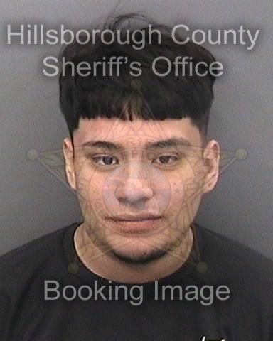 GIOVANNI ALVARADO  Pics