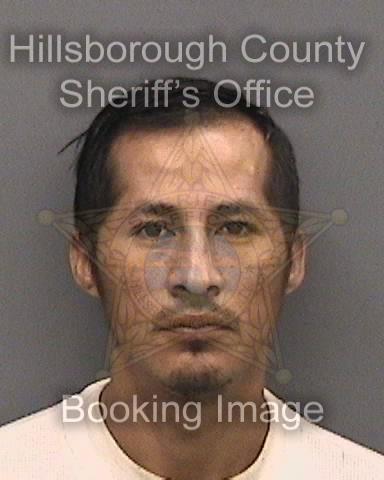 JOSE CHAVIRA  Info, Photos, Data, and More About JOSE CHAVIRA  / JOSE CHAVIRA  Tampa Area