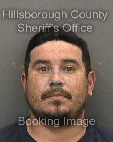 LUIS ERNESTO CALVILLO BELTRAN  Pics