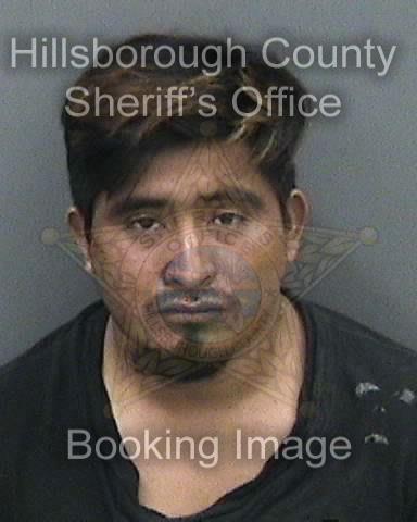 MARIO HERNANDEZ RUIZ  Pics