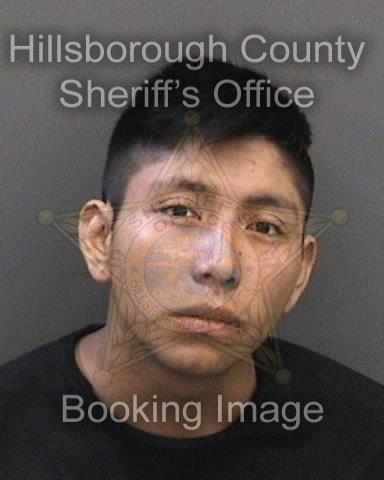 MATEO HERNANDEZ GOMEZ  Pics