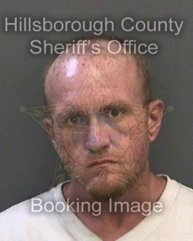 MATTHEW WILKINSON Info, Photos, Data, and More About MATTHEW WILKINSON / MATTHEW WILKINSON Florida MATTHEW WILKINSON Info, Photos, Data, and More About MATTHEW WILKINSON / MATTHEW WILKINSON Tampa Area