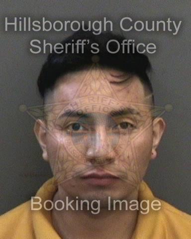 MILDER AUDELI PEREZ LUCAS  Info, Photos, Data, and More About MILDER AUDELI PEREZ LUCAS  / MILDER AUDELI PEREZ LUCAS  Tampa Area