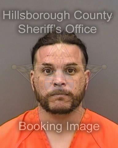 MILES HARRISON STEVES  Pics