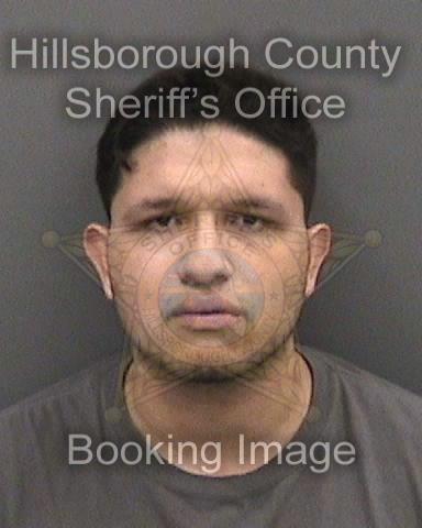 SEBASTIAN SUAREZ  Pics