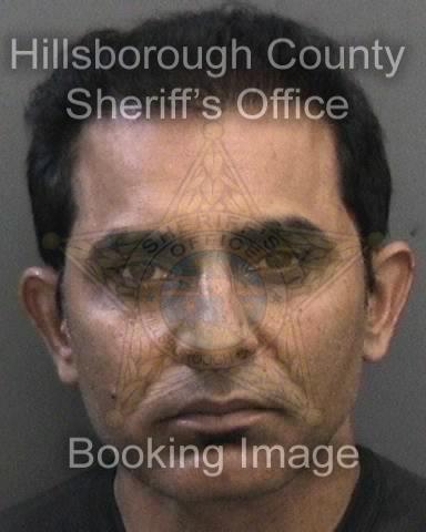 TAHSEEN MAJEED  Info, Photos, Data, and More About TAHSEEN MAJEED  / TAHSEEN MAJEED  Tampa Area