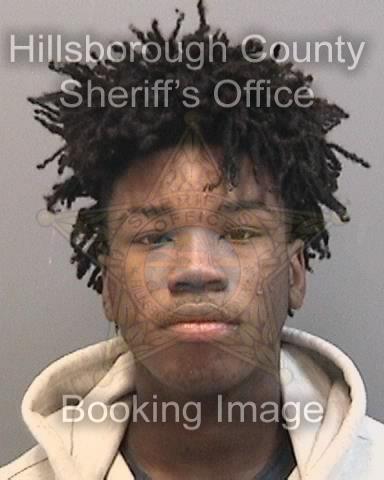 TALANDO DEVOR HOUSE  Info, Photos, Data, and More About TALANDO DEVOR HOUSE  / TALANDO DEVOR HOUSE  Tampa Area