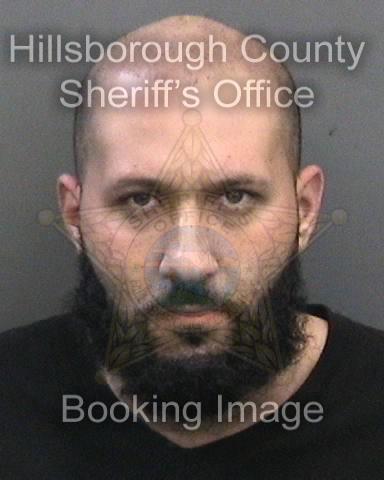 TAREQ ALI IRAQ  Pics