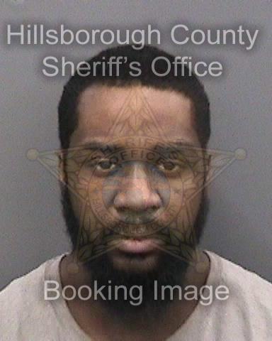 THEANDRA CENATOR TATE  Info, Photos, Data, and More About THEANDRA CENATOR TATE  / THEANDRA CENATOR TATE  Tampa Area