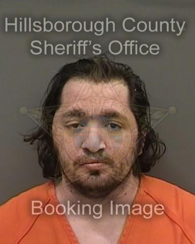 TIMOTHY GEORGOULIS  Pics