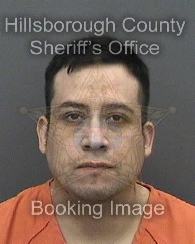 WILLIAMS AVILA TEPALE  Pics