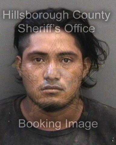 YOVANY SALES  Info, Photos, Data, and More About YOVANY SALES  / YOVANY SALES  Tampa Area