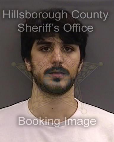 AMEER REIAD HAMDAN  Pics