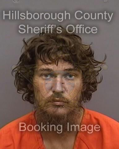 AUSTIN SHAD PINE  Pics