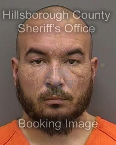 DANTE SANTINO RODRIGUEZ  Info, Photos, Data, and More About DANTE SANTINO RODRIGUEZ  / DANTE SANTINO RODRIGUEZ  Tampa Area