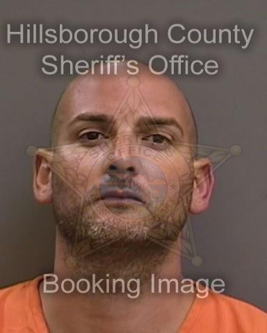 DAVID TORRES ROCAFORT  Pics